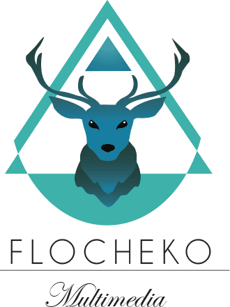 Flocheko logo